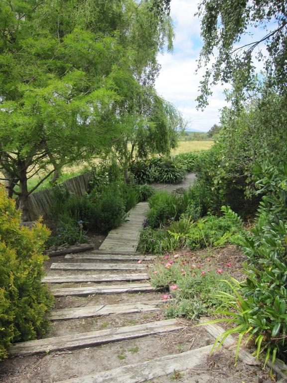 Thyme Out Estate Bed & Breakfast Halcombe Eksteriør bilde